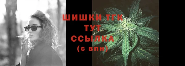 гашик Аркадак